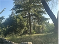 Image du bien UBI478530431